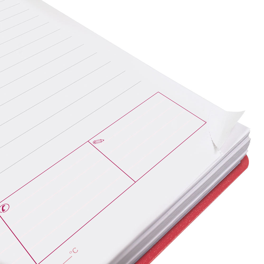DuraFlex Daily/Monthly Appointment Book, 2027 Raspberry CB634V.RAS-27 Brownline#color_raspberry