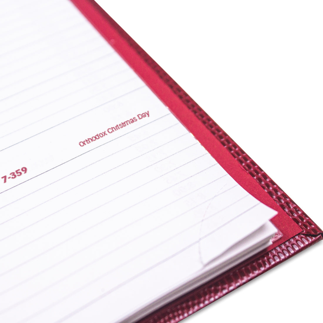 CoilPro Weekly Appointment Book 2024#color_red