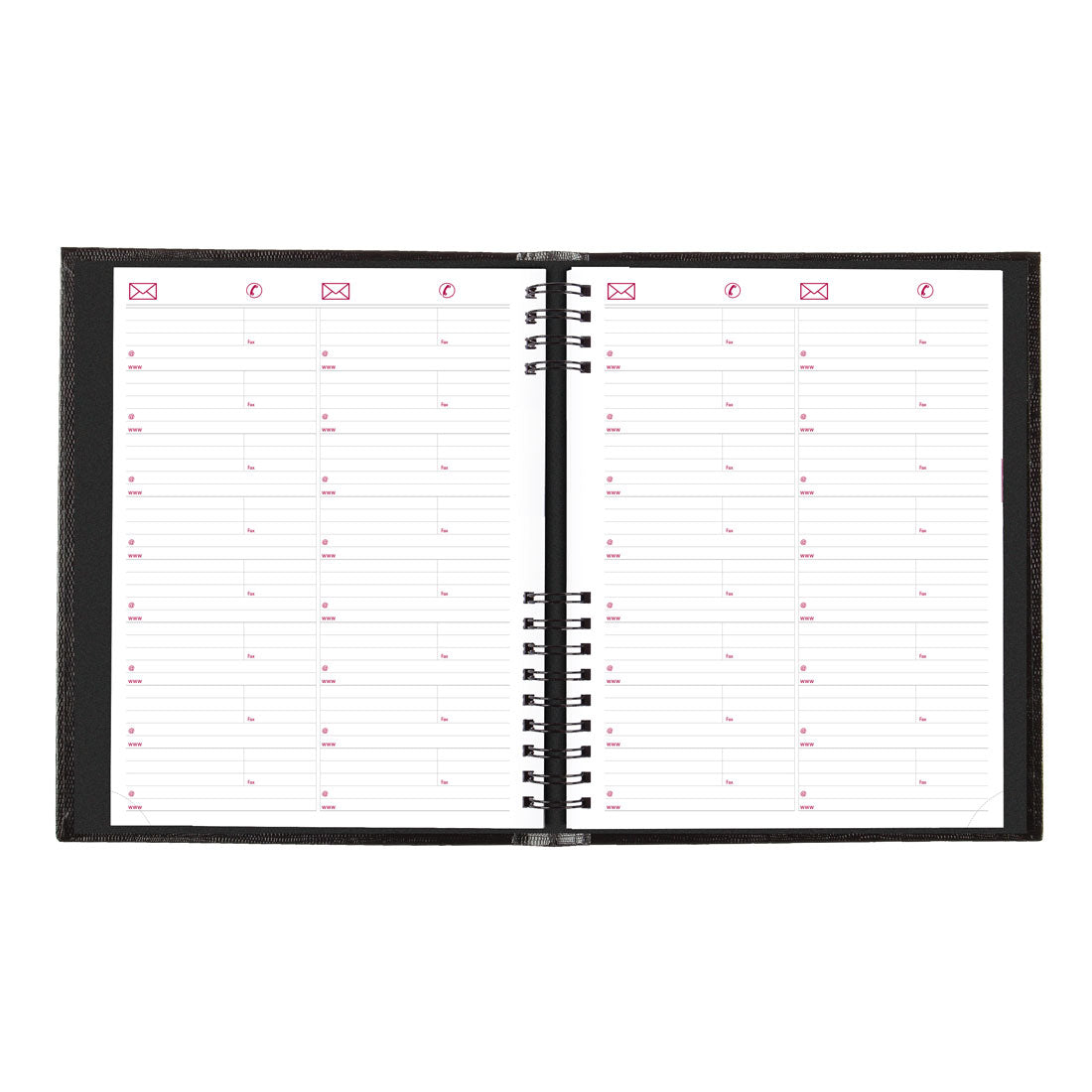 CoilPro 4-Person Daily Appointment Book 2025, English, Black, CB960C.BLK