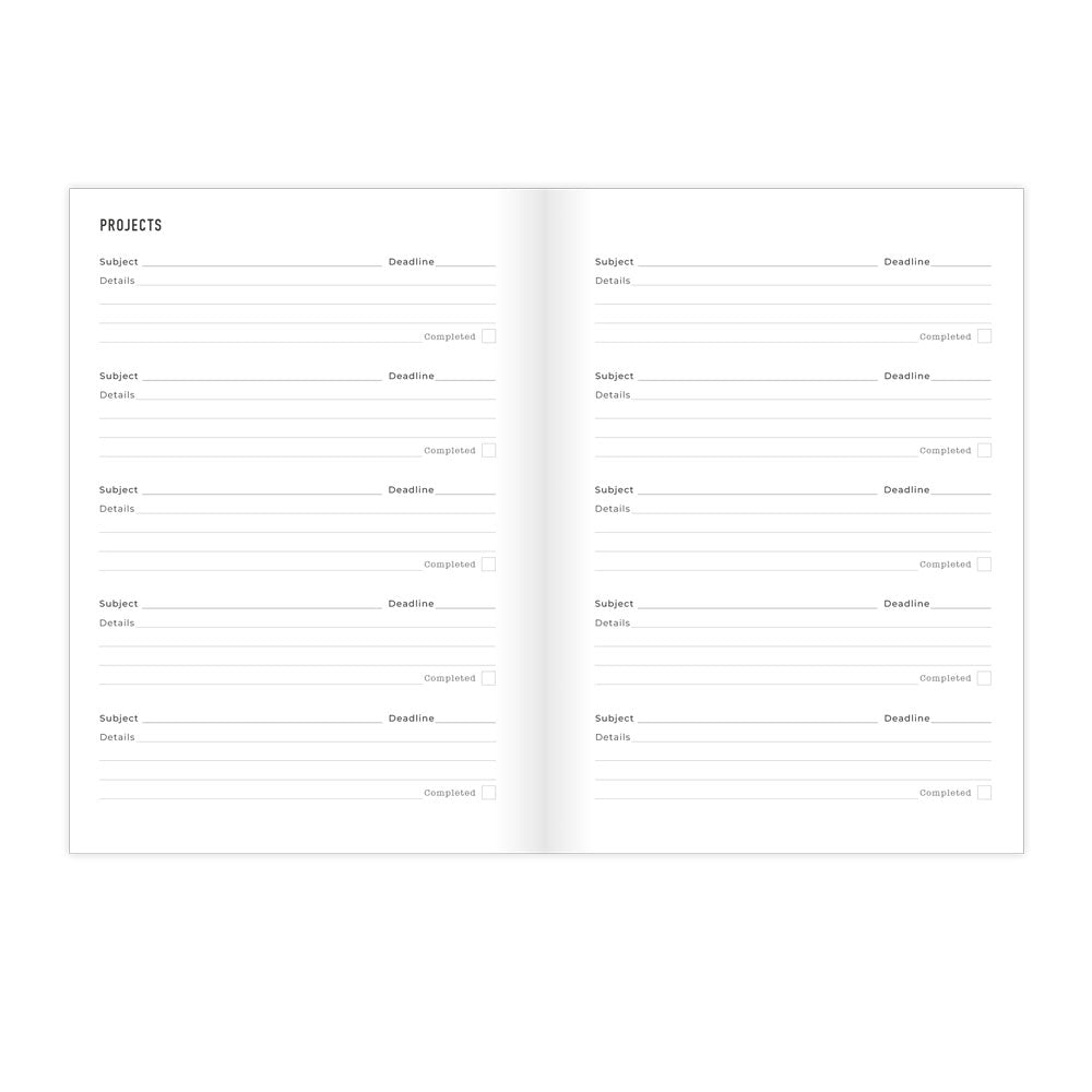 Letts A5 Planners Timeless Layout #color_stripes-pink